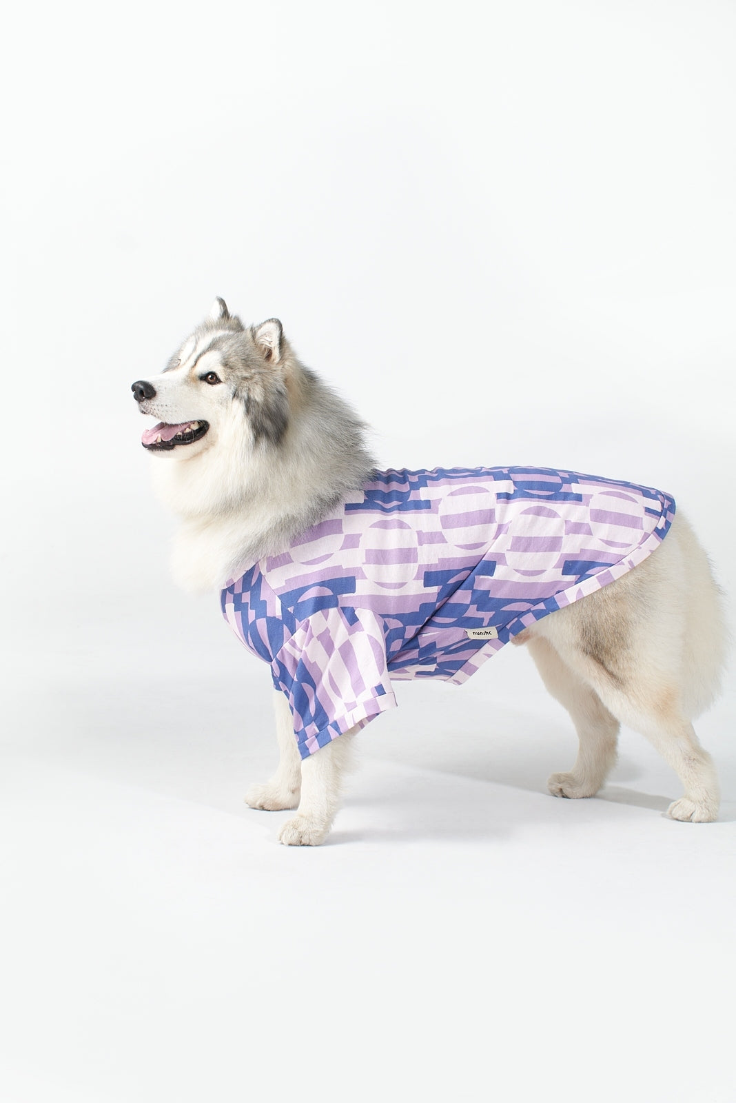 Overlaps T-Shirt: Purple & Blue