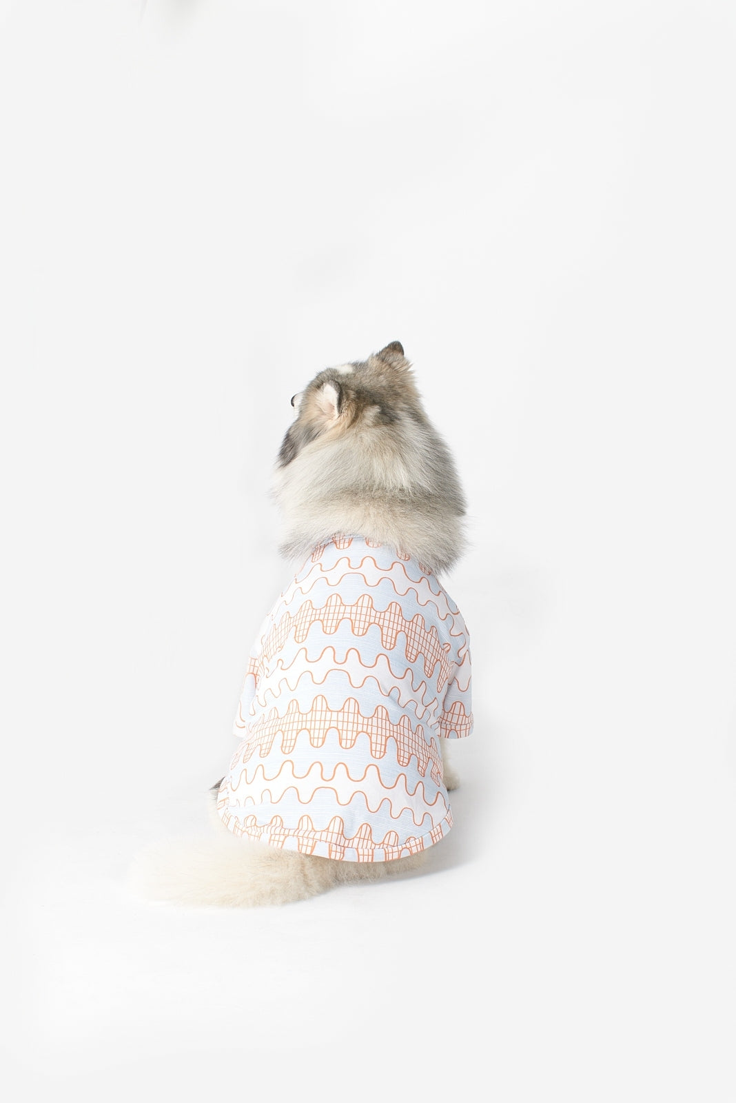 Lines & Waves T-Shirt: Orange & Sky Blue